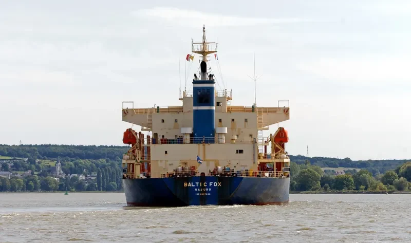 BALTIC FOX Bulk Carrier IMO 9397248 photo 6