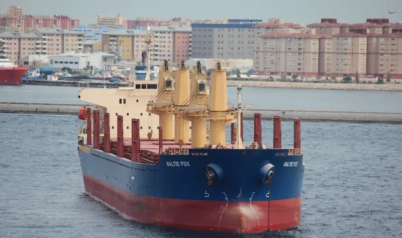 BALTIC FOX Bulk Carrier IMO 9397248 photo 7