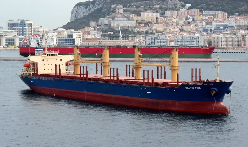BALTIC FOX Bulk Carrier IMO 9397248 photo 8