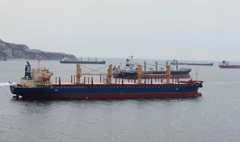 BALTIC FOX Bulk Carrier IMO 9397248 photo 9