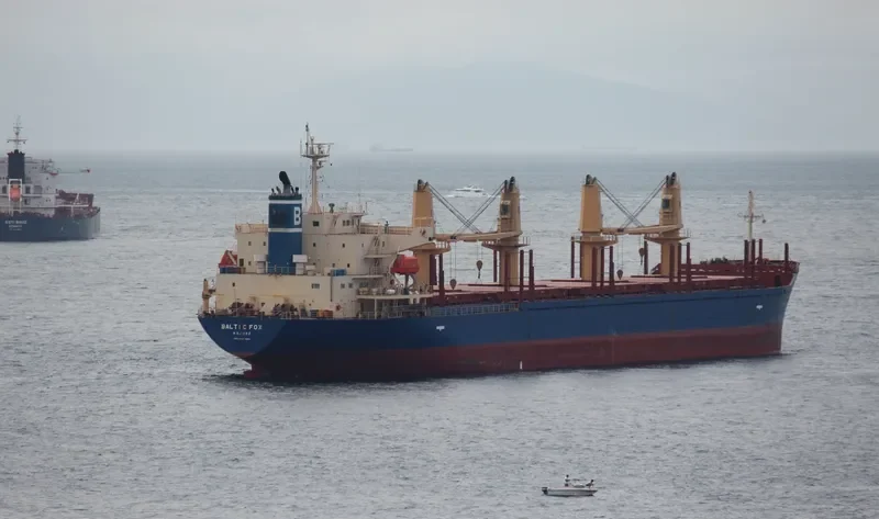 BALTIC FOX Bulk Carrier IMO 9397248 photo 10