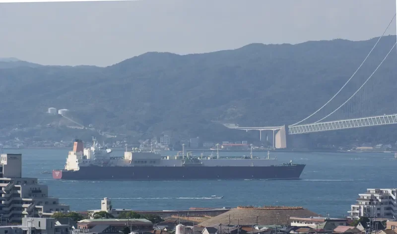 AL GHASHAMIYA General Cargo IMO 9397286 photo 3