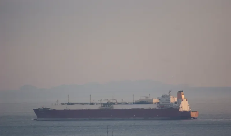 AL GHASHAMIYA General Cargo IMO 9397286 photo 7