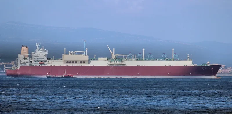 AL GHASHAMIYA General Cargo IMO 9397286 photo 8