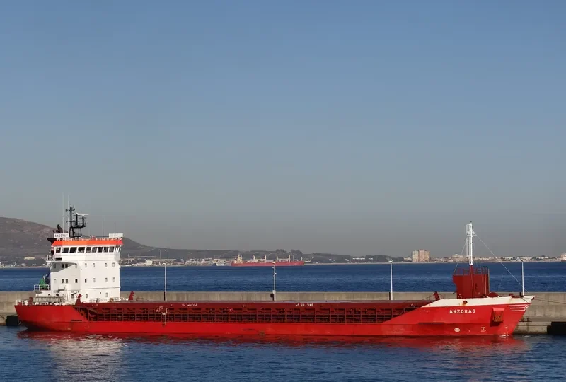 ANZORAS General Cargo IMO 9397664 photo 7