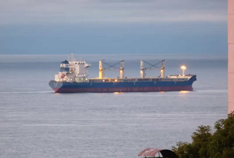 YIN PING Bulk Carrier IMO 9397690 photo 2