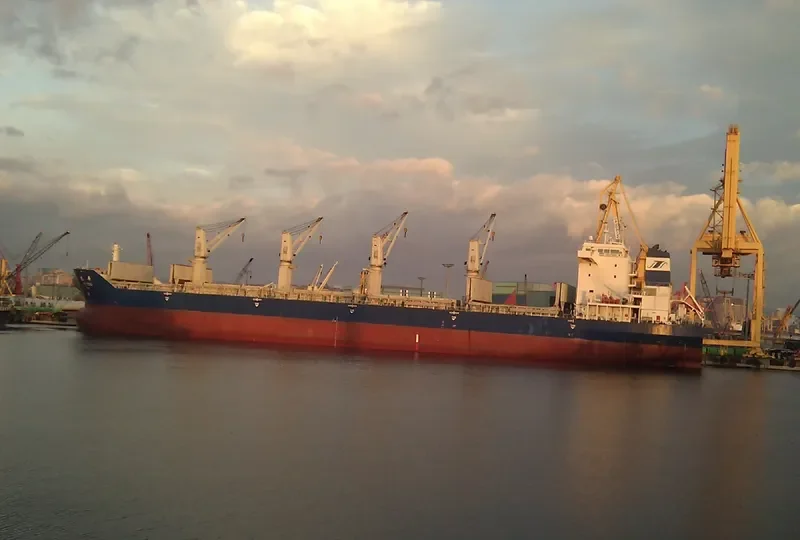 YIN PING Bulk Carrier IMO 9397690 photo 3