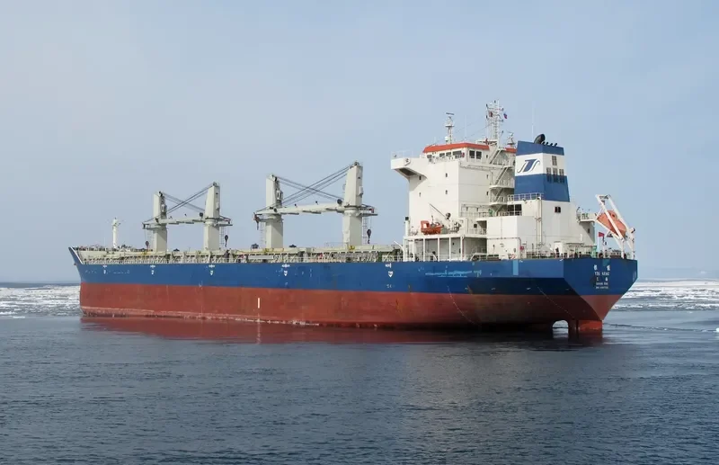 YIN NENG Bulk Carrier IMO 9397705