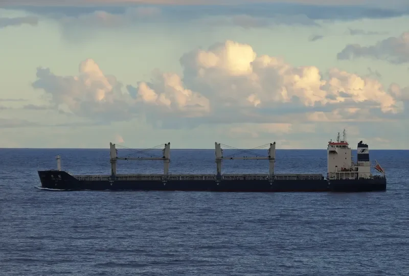 YIN NENG Bulk Carrier IMO 9397705 photo 4
