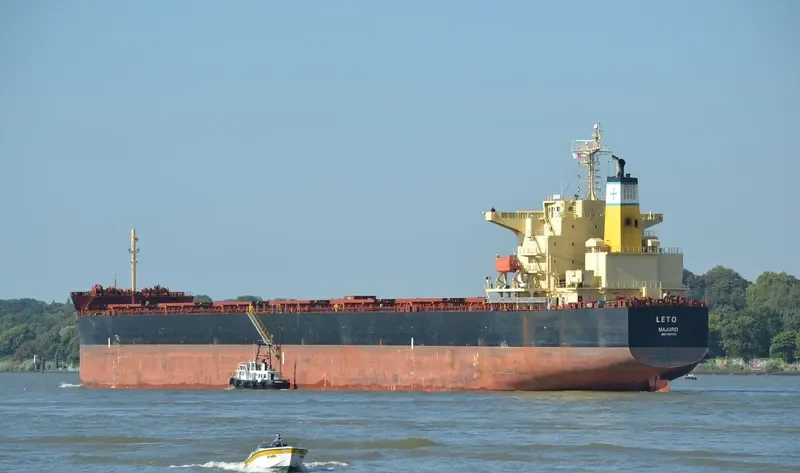 LETO Bulk Carrier IMO 9397731 photo 6
