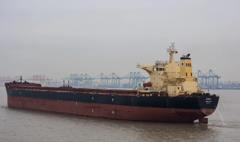 SM HEDLAND Bulk Carrier IMO 9397743