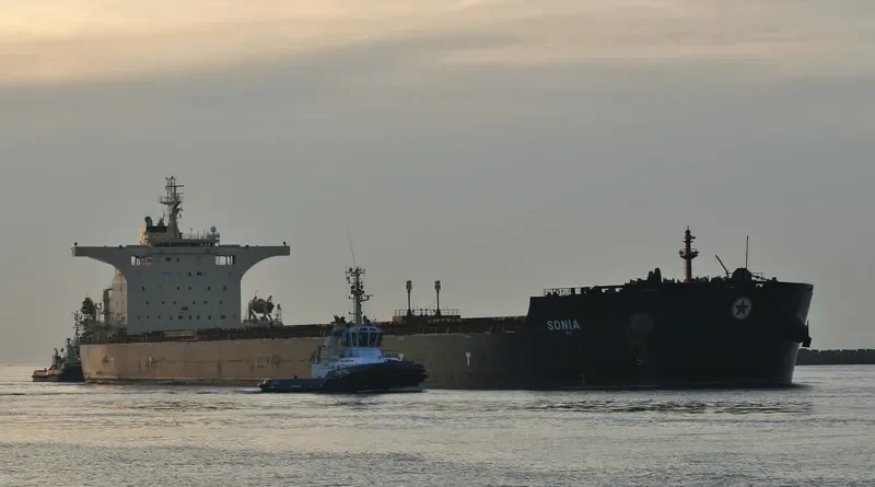 SM HEDLAND Bulk Carrier IMO 9397743 photo 7