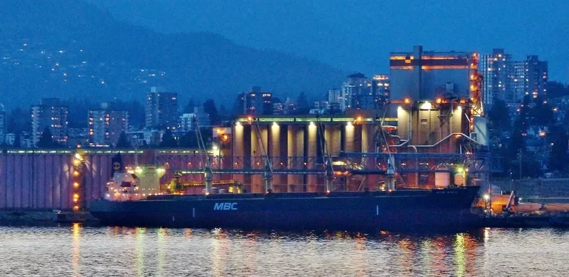 RASUNA BARUNA Bulk Carrier IMO 9397834 photo 3