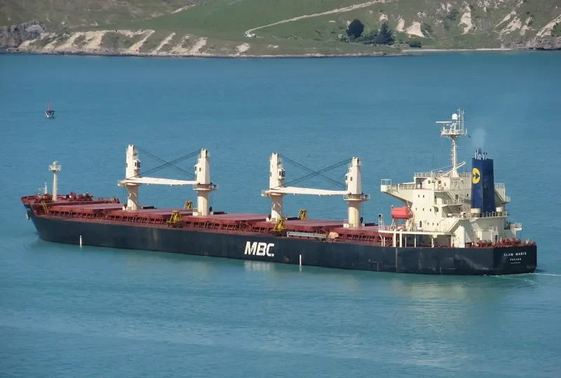 RASUNA BARUNA Bulk Carrier IMO 9397834 photo 5
