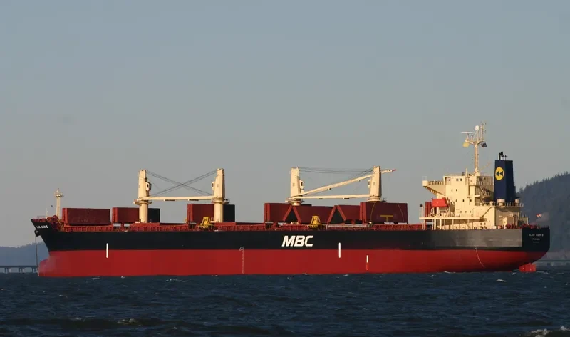 RASUNA BARUNA Bulk Carrier IMO 9397834 photo 7