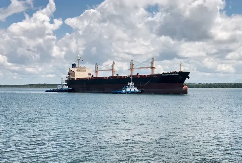 RASUNA BARUNA Bulk Carrier IMO 9397834 photo 10