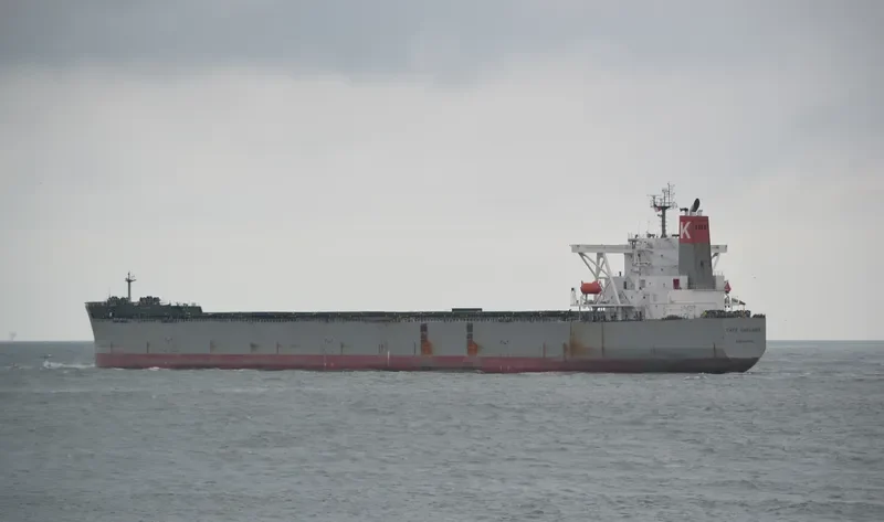 CAPE GARLAND Bulk Carrier IMO 9397846 photo 2