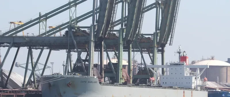 CAPE GARLAND Bulk Carrier IMO 9397846 photo 3