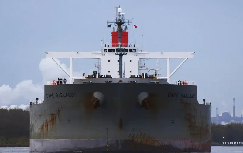 CAPE GARLAND Bulk Carrier IMO 9397846 photo 6