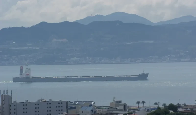 CAPE GARLAND Bulk Carrier IMO 9397846 photo 7
