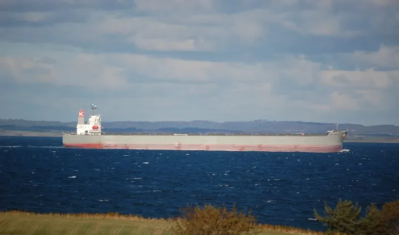 CAPE GARLAND Bulk Carrier IMO 9397846 photo 8