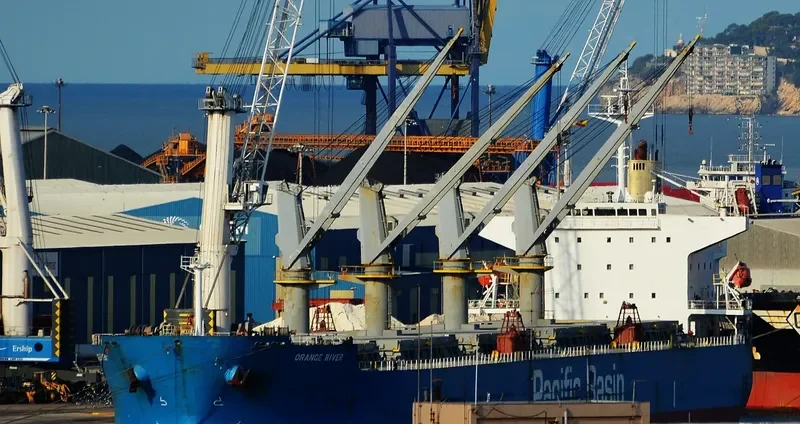 ORANGE RIVER Bulk Carrier IMO 9397858 photo 7