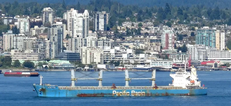 ORANGE RIVER Bulk Carrier IMO 9397858 photo 9