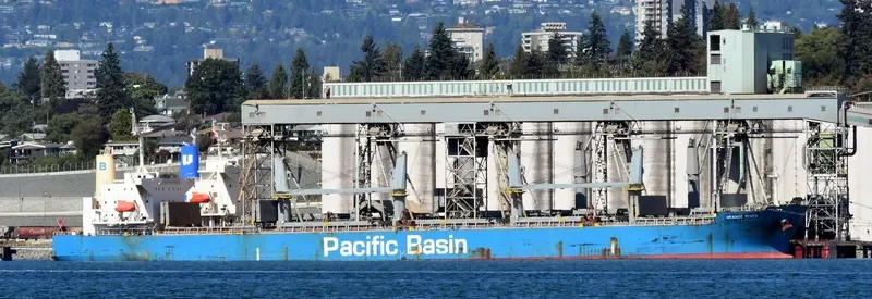 ORANGE RIVER Bulk Carrier IMO 9397858 photo 10