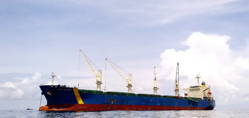 ANNI SELMER Bulk Carrier IMO 9397860