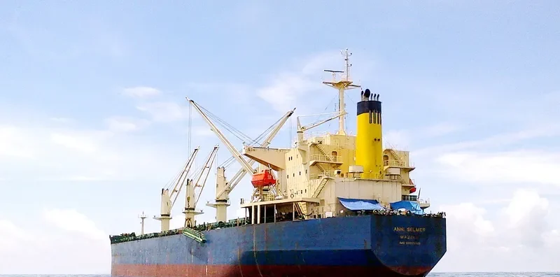 ANNI SELMER Bulk Carrier IMO 9397860 photo 2