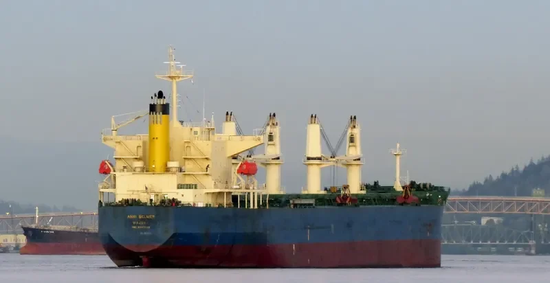 ANNI SELMER Bulk Carrier IMO 9397860 photo 3