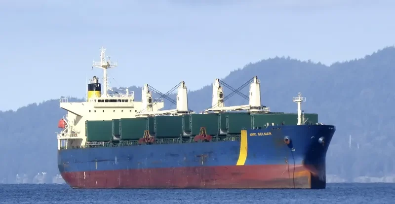 ANNI SELMER Bulk Carrier IMO 9397860 photo 4