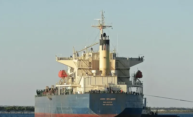 ANNI SELMER Bulk Carrier IMO 9397860 photo 6