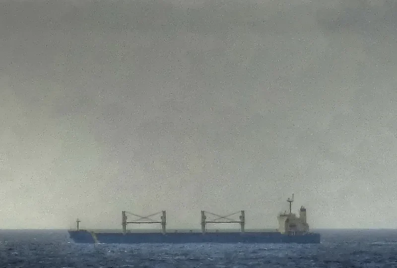 ANNI SELMER Bulk Carrier IMO 9397860 photo 8