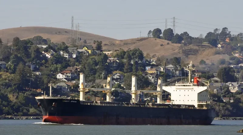MEGHNA ENERGY Bulk Carrier IMO 9397872 photo 5