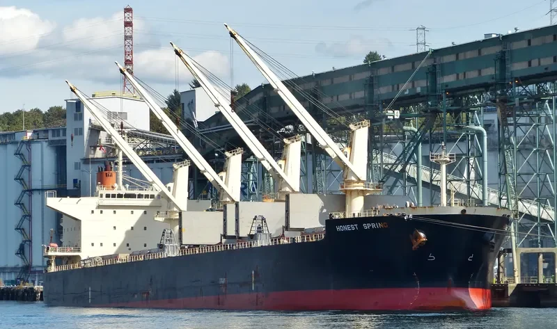 MEGHNA ENERGY Bulk Carrier IMO 9397872 photo 6