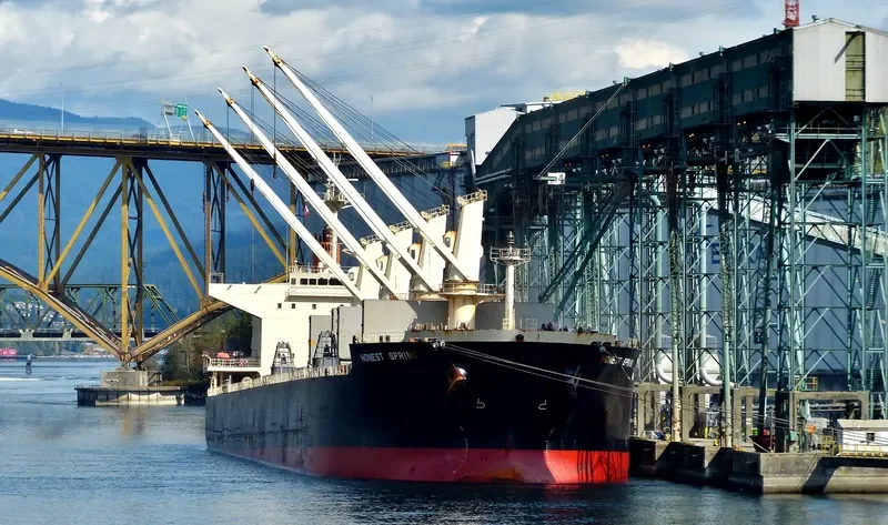 MEGHNA ENERGY Bulk Carrier IMO 9397872 photo 7