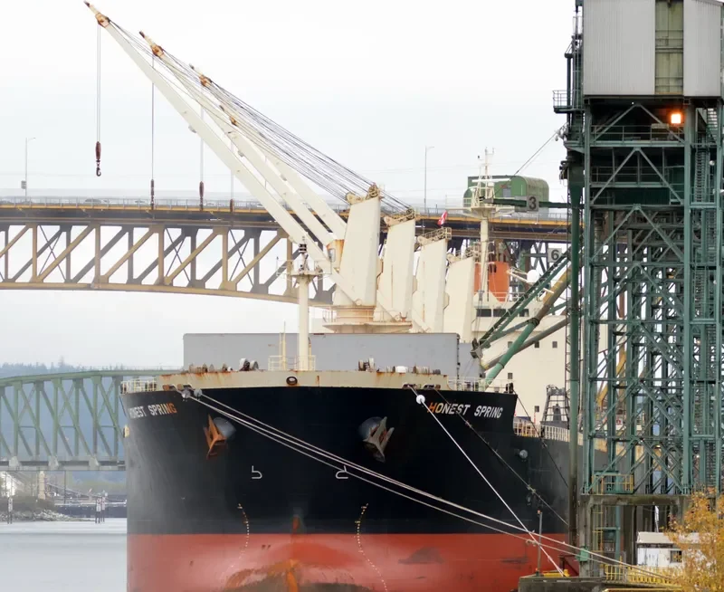 MEGHNA ENERGY Bulk Carrier IMO 9397872 photo 9