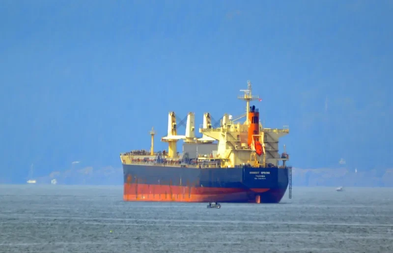 MEGHNA ENERGY Bulk Carrier IMO 9397872 photo 10