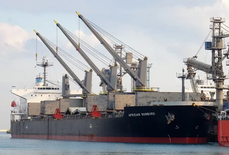 LUMOSO KARUNIA IX Bulk Carrier IMO 9397884