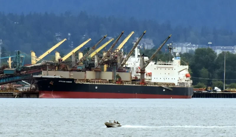 LUMOSO KARUNIA IX Bulk Carrier IMO 9397884 photo 3