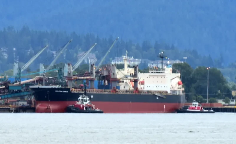 LUMOSO KARUNIA IX Bulk Carrier IMO 9397884 photo 6