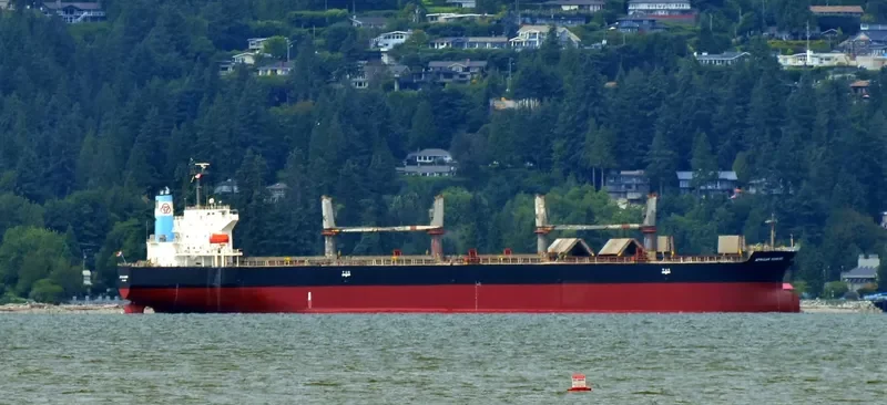 LUMOSO KARUNIA IX Bulk Carrier IMO 9397884 photo 8