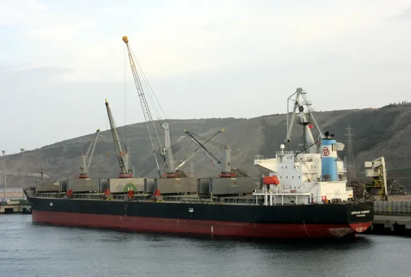 LUMOSO KARUNIA IX Bulk Carrier IMO 9397884 photo 9
