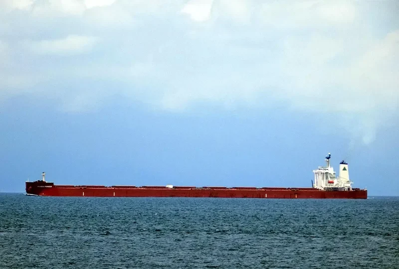 HYUNDAI PIONEER Bulk Carrier IMO 9398101 photo 5