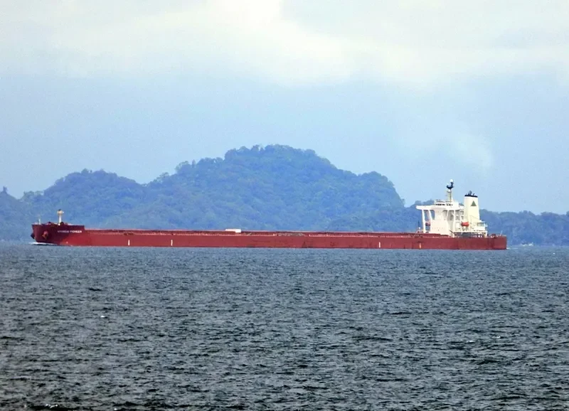 HYUNDAI PIONEER Bulk Carrier IMO 9398101 photo 7