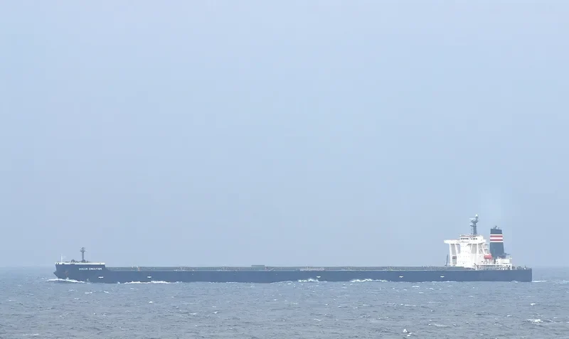 OCEAN CREATION Bulk Carrier IMO 9398125 photo 10