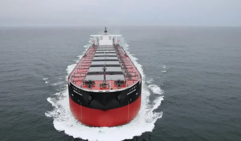 ONOZURU MARU Bulk Carrier IMO 9398137 photo 6