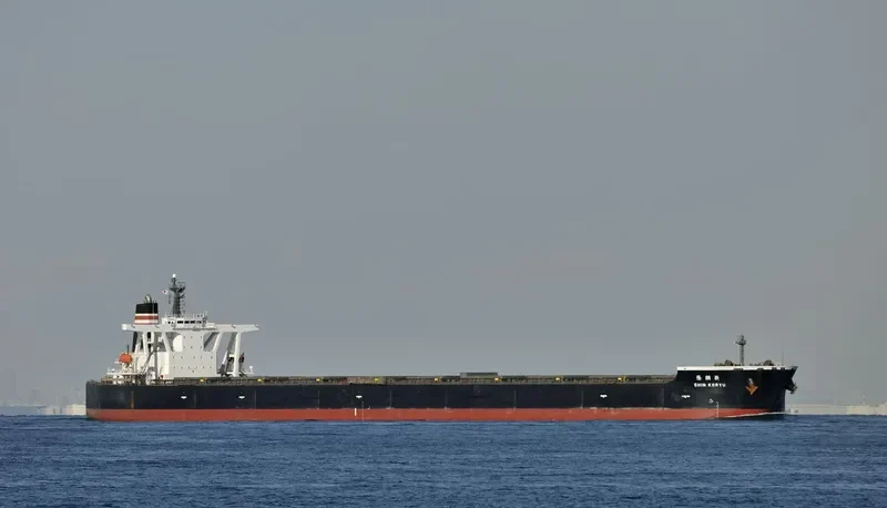 SHIN KORYU Bulk Carrier IMO 9398149 photo 2