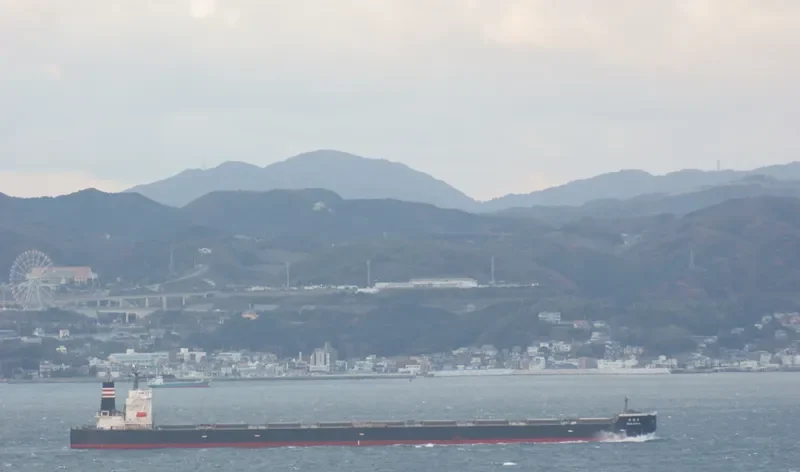SHIN KORYU Bulk Carrier IMO 9398149 photo 4